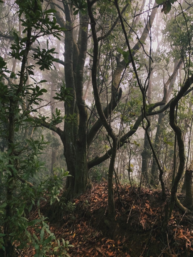 foto:Edgar Rodrigo Gómez Jiménez - lo hecho en México