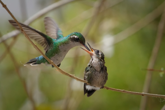 foto:René Collinot Martínez  - lo hecho en México