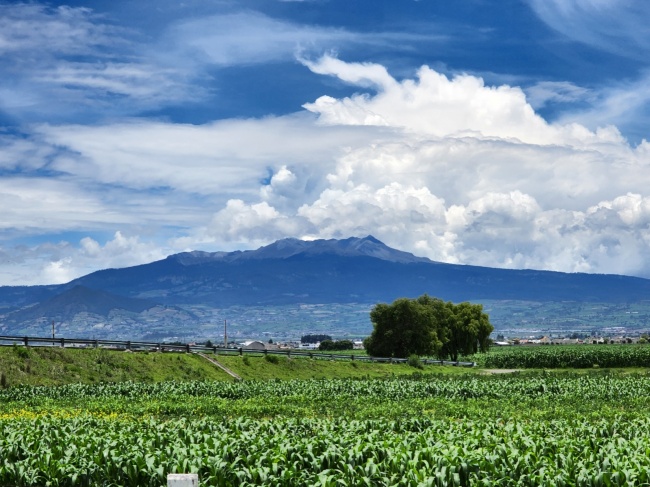 foto:LOURDES ARZATE HERRERA - lo hecho en México