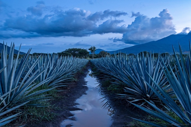 foto:Cesar Caceres M - lo hecho en México
