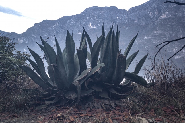 foto:María Alejandra González del Bosque - lo hecho en México