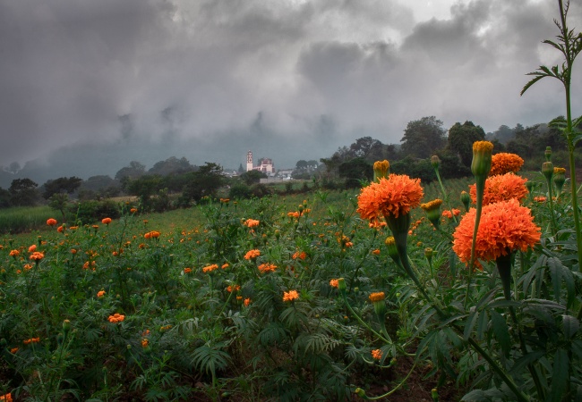 foto:Jesús Horacio Oviedo Moreno - lo hecho en México