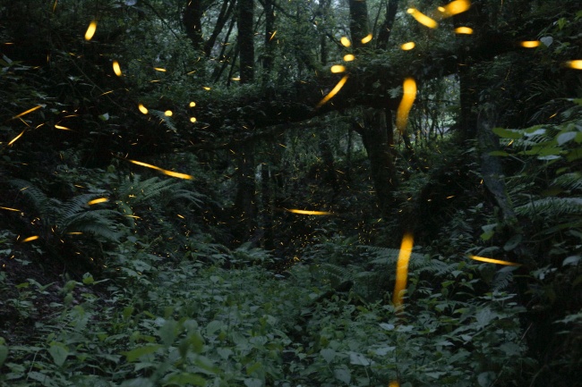 foto:Sergio Austreberto  - lo hecho en México