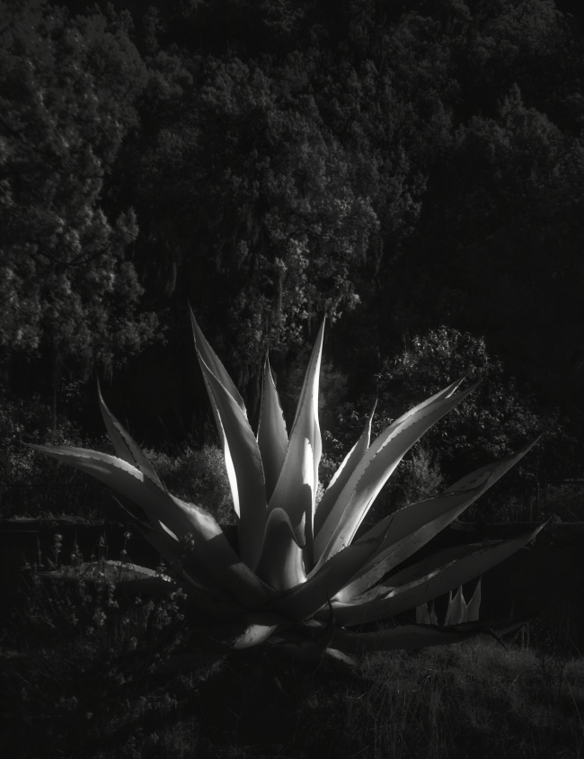 foto:Aldo Diaz Rosas - lo hecho en México