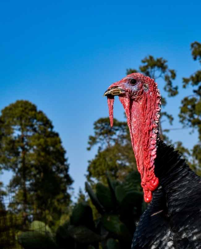 foto:Ana Paula Cruz Flores - lo hecho en México