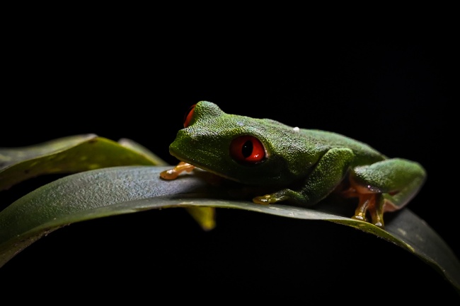 foto:Sergio Daniel Parra Fernández - lo hecho en México