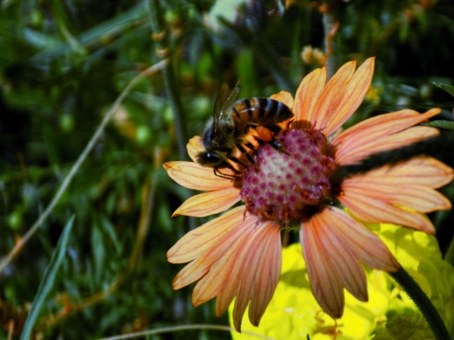foto:Ernestina Guadalupe Reyes Cervantes - lo hecho en México