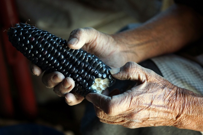 foto:Juan Gabriel González Romero - lo hecho en México