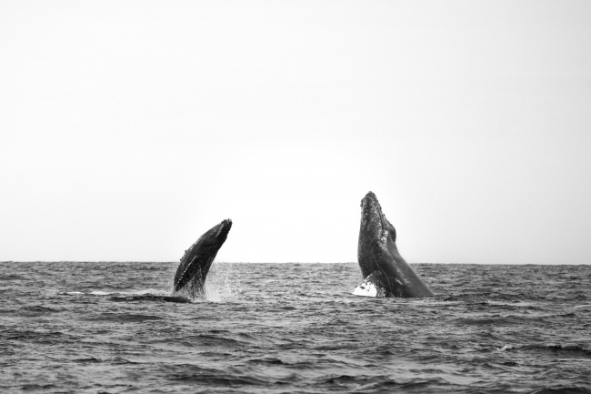 foto:Anatolij Hernández Tkatschinski - lo hecho en México