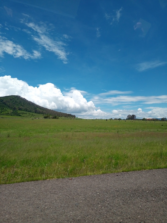 foto:Yuriana Mahe Guzman - lo hecho en México