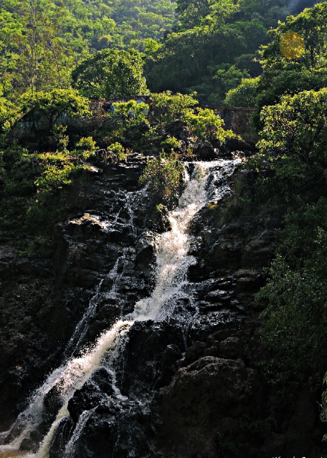 foto:luis angel bedolla arreola - lo hecho en México