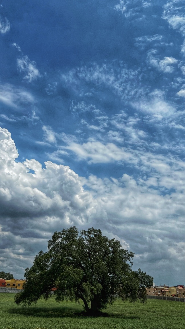 foto:Iván Alejandro de la Peña López  - lo hecho en México