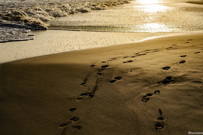 foto:BENJAMIN SANCHEZ ZARAGOZA - lo hecho en México