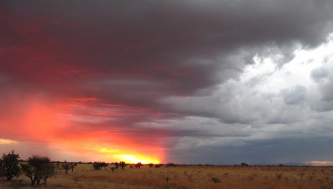 foto:Emiliano Romo Hernández - lo hecho en México