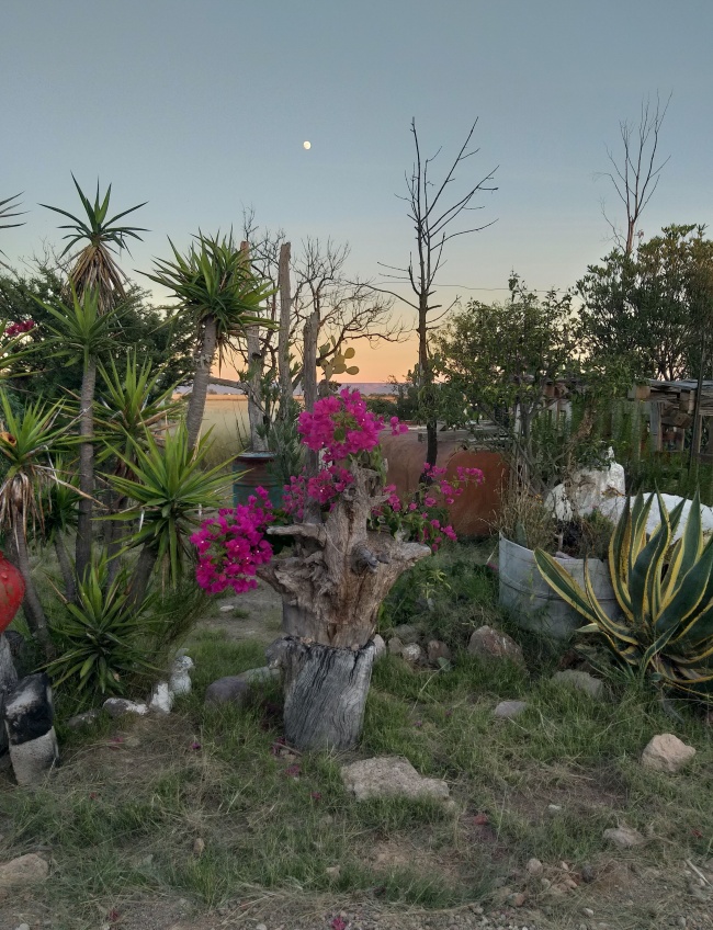 foto:Carmina Romo Hernández - lo hecho en México