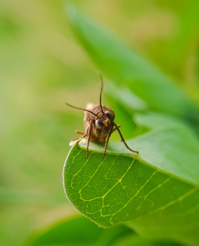 foto:Saúl Tonalli Rodríguez Vázquez - lo hecho en México