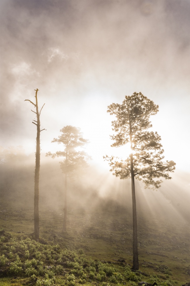 foto:Alfredo Jiménez Velázquez  - lo hecho en México