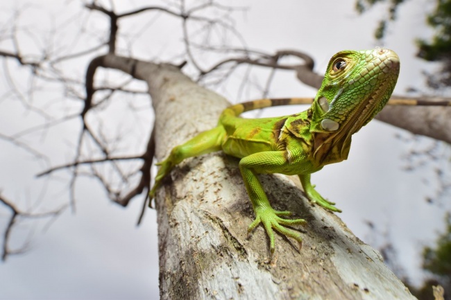 foto:Luis Francisco Nieto Toscano - lo hecho en México