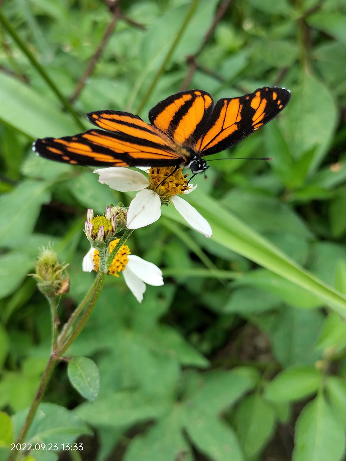 foto:Ignacio Castro Juárez  - lo hecho en México