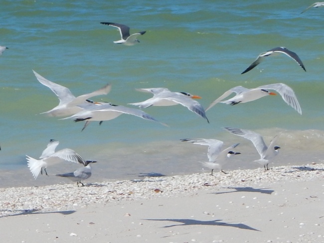 foto:Maria Pilar Segura Marcén - lo hecho en México