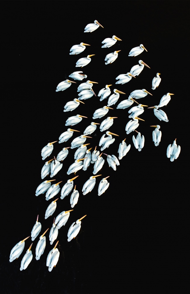 foto:Guillermo Soberón Tirado - lo hecho en México