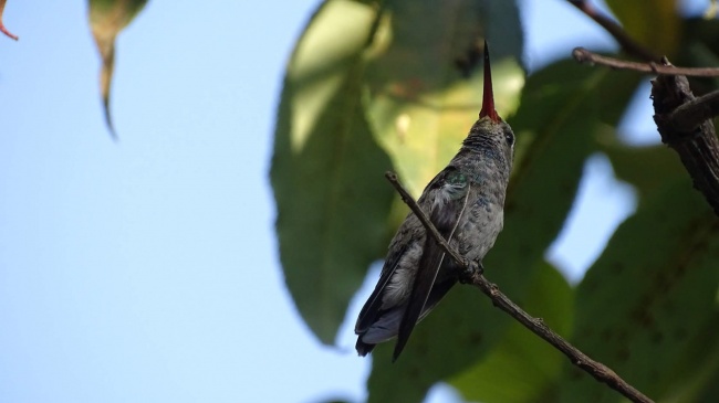 foto:cristhian calderon hernandez - lo hecho en México