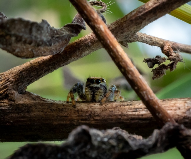 foto:Gilberto Osorio ibarra - lo hecho en México