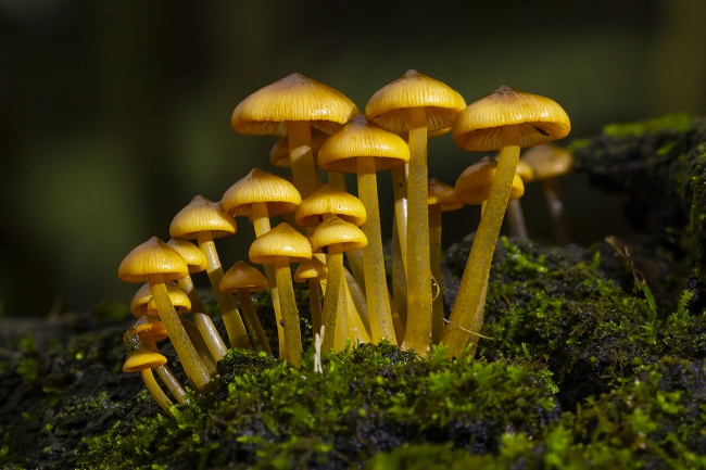 foto:Jorge González Sánchez - lo hecho en México