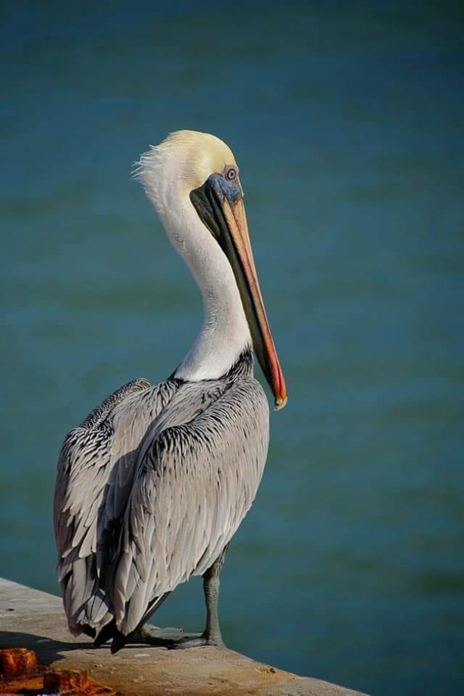 foto:René Rodríguez García - lo hecho en México