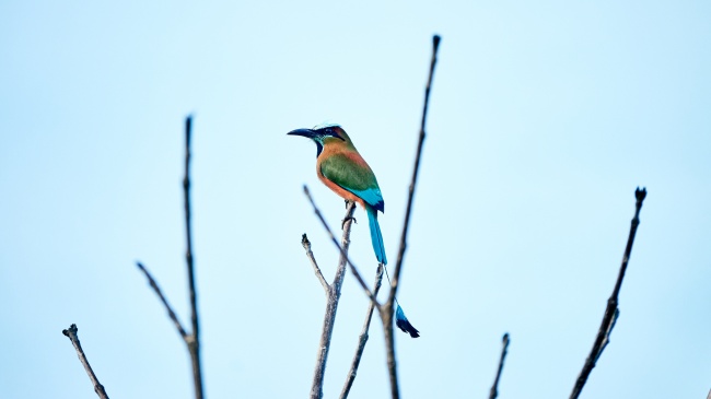 foto:JULIO CÉSAR ECHEVERRÍA BOTES  - lo hecho en México