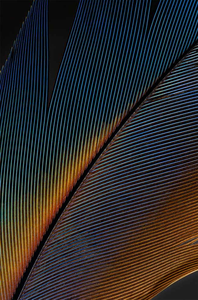 foto:José Alberto Cruz Zorrilla  - lo hecho en México