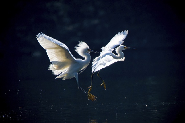 foto:Gustavo Lopez Rebollar  - lo hecho en México