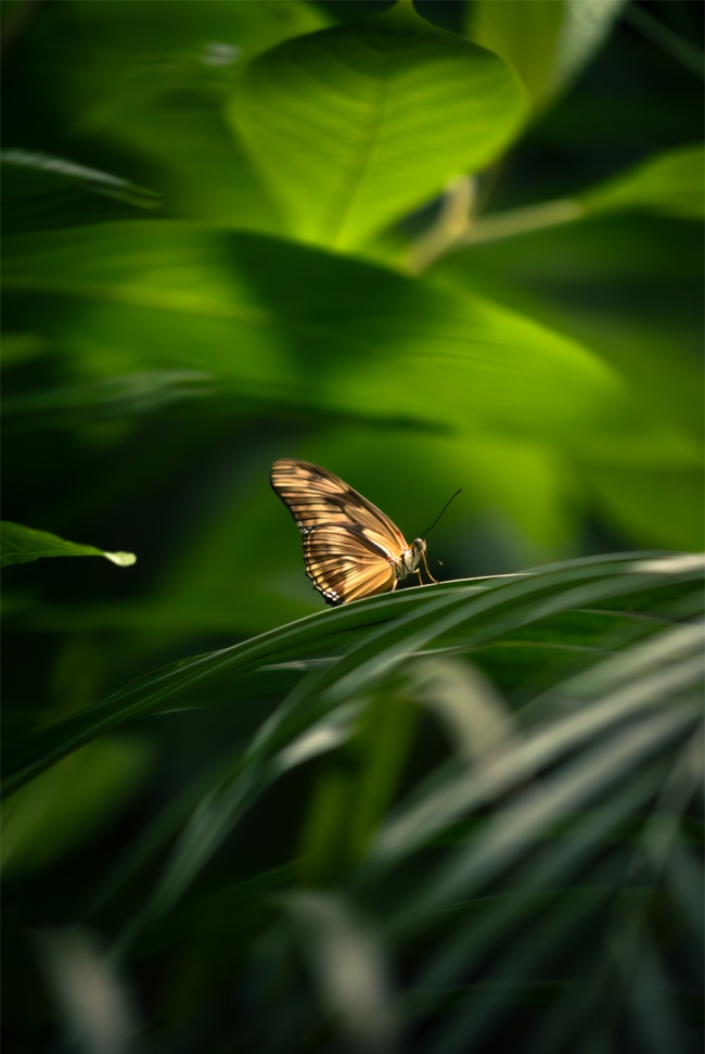 foto:Marco Antonio Díaz Martínez  - lo hecho en México