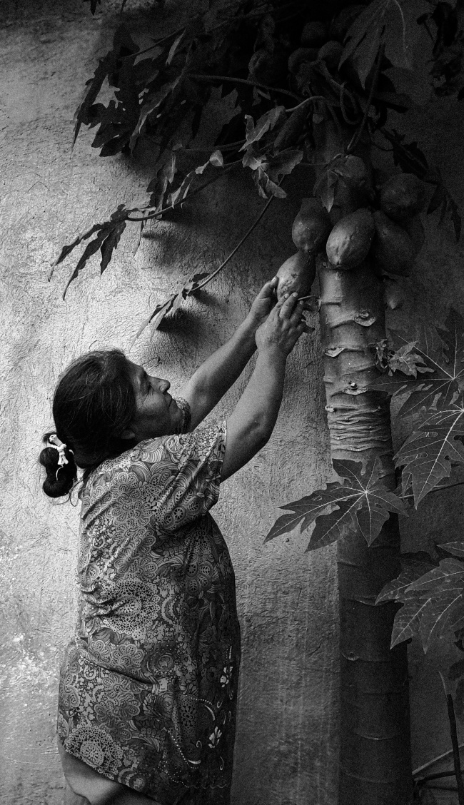 foto:Fernando Xilot Morales   - lo hecho en México