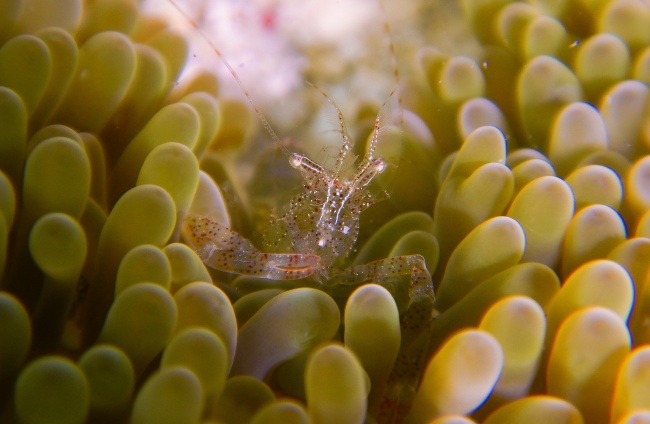 foto:Daniel Ernesto Pérez Galván  - lo hecho en México