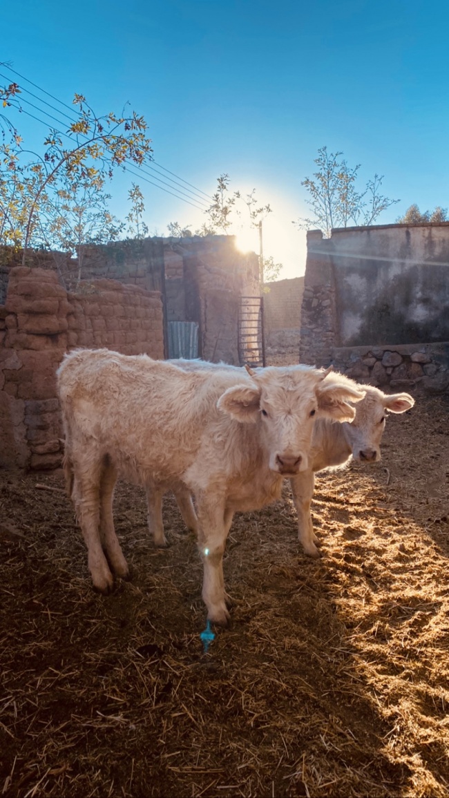 foto:Alejandra Solis Cardoza  - lo hecho en México