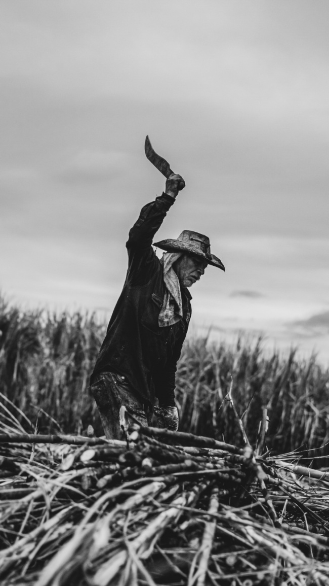 foto:Eduardo Axel Tapia Salazar   - lo hecho en México