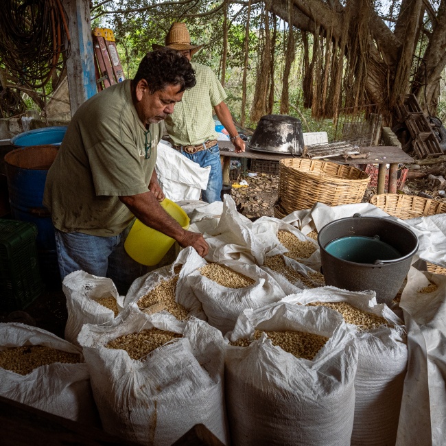 foto:María Tecuichpo Renteral Altamirano   - lo hecho en México