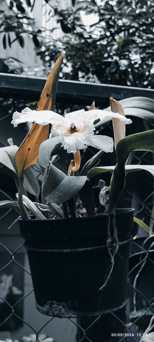 foto:Vania Yael Escobar Hernández  - lo hecho en México