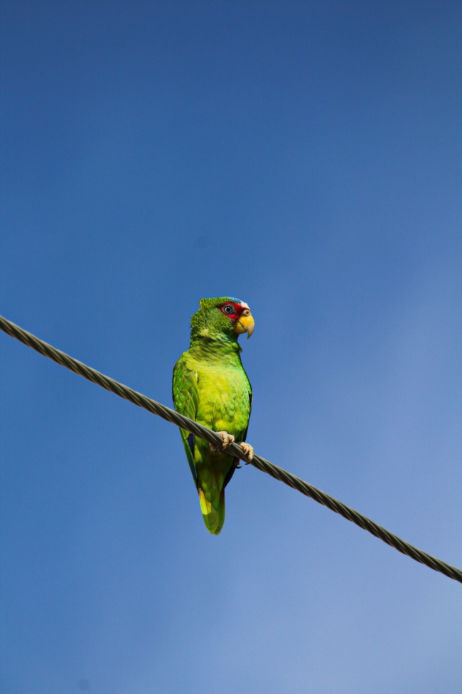 foto:Kathia Araceli Gomez Cervantes  - lo hecho en México