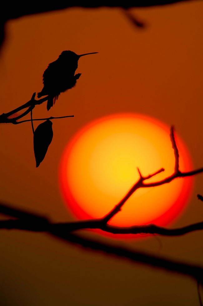 foto:Juan Pablo Fonseca Amaro  - lo hecho en México