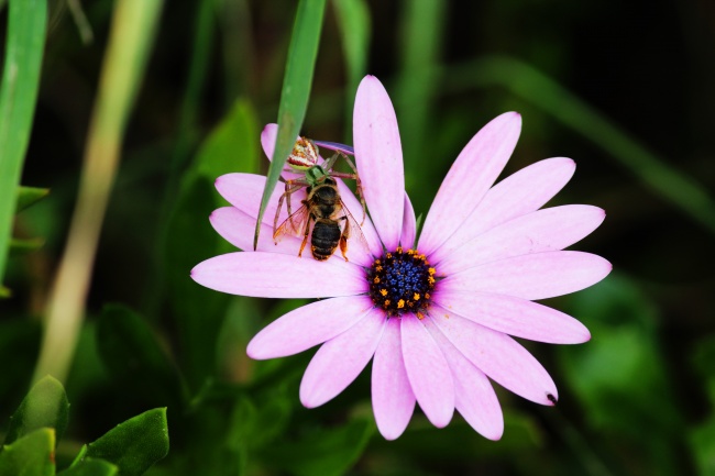 foto:Evelyn Chavez Zuñiga  - lo hecho en México