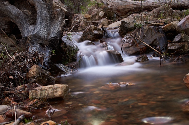 foto:Jose Israel Mendoza Camarillo  - lo hecho en México