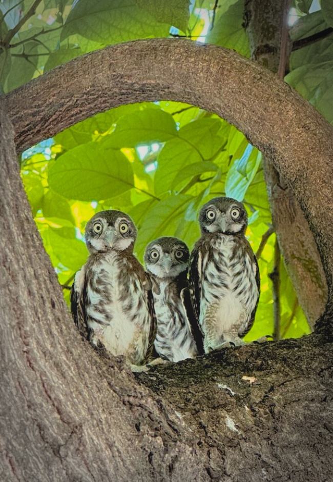 foto:Jesús Emanuel Contreras garcía  - lo hecho en México
