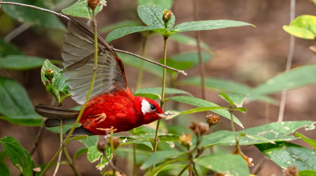 foto:Gerardo Castro Aguilar  - lo hecho en México