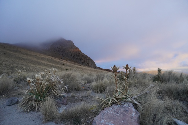 foto:Jonathan Jacob Hernández Vásquez  - lo hecho en México