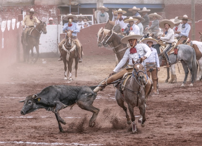 foto:Alena Plyasova  - lo hecho en México