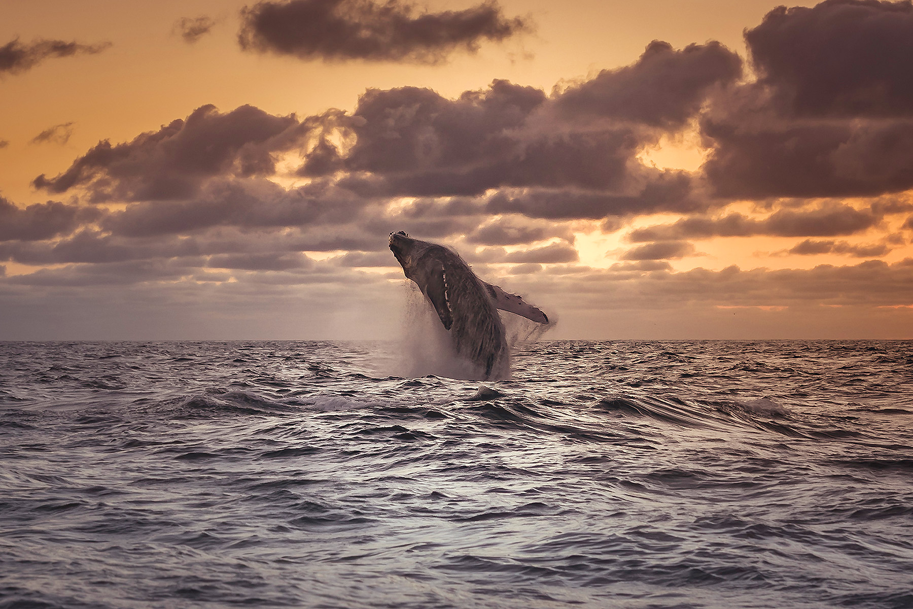 foto:Gerardo Lopez Portillo  - lo hecho en México
