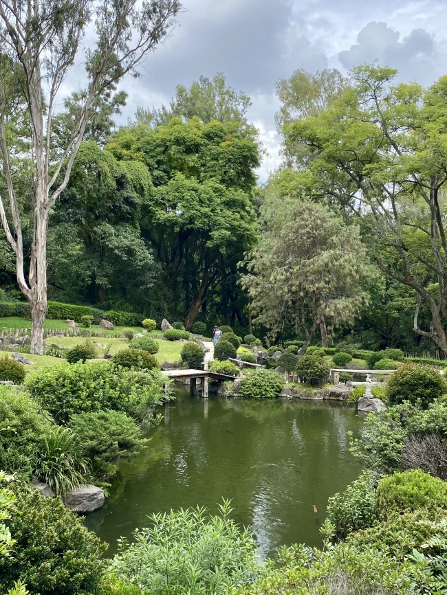 foto:Mario Alberto Salazar Pineda   - lo hecho en México