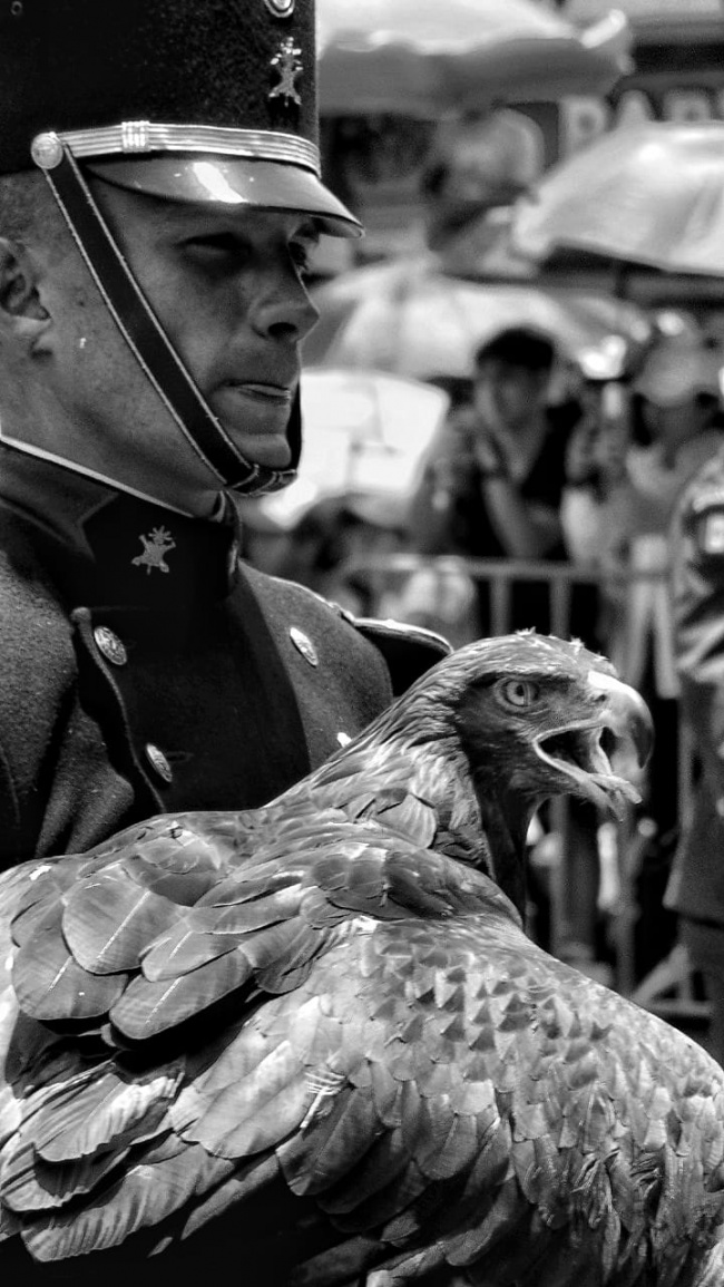 foto:Eymar Liuth Hernández Pérez   - lo hecho en México
